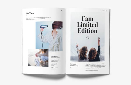  журнал с двумя картинками